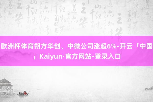 欧洲杯体育朔方华创、中微公司涨超6%-开云「中国」Kaiyun·官方网站-登录入口