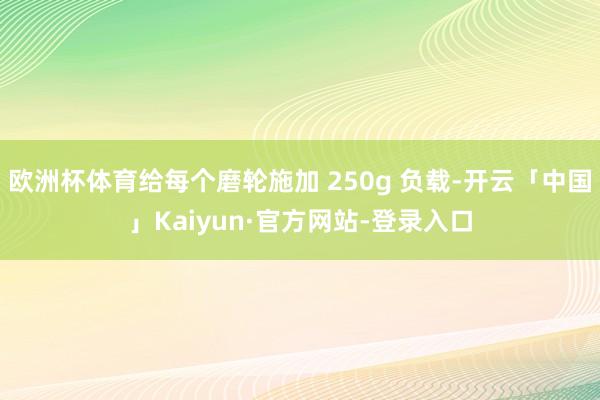 欧洲杯体育给每个磨轮施加 250g 负载-开云「中国」Kaiyun·官方网站-登录入口