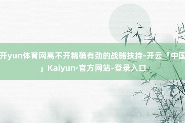 开yun体育网离不开精确有劲的战略扶持-开云「中国」Kaiyun·官方网站-登录入口