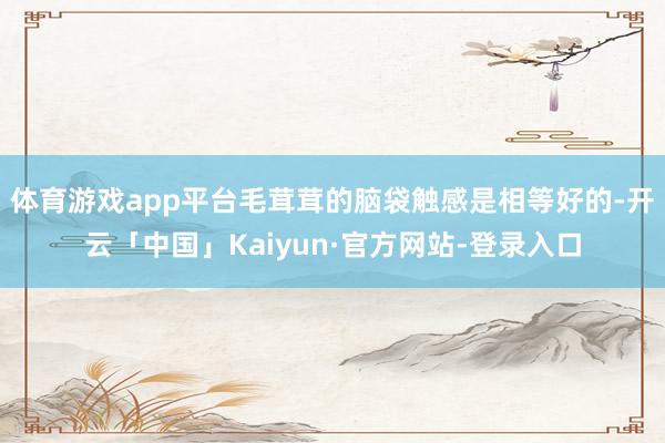 体育游戏app平台毛茸茸的脑袋触感是相等好的-开云「中国」Kaiyun·官方网站-登录入口