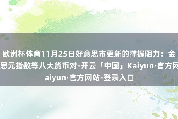 欧洲杯体育11月25日好意思市更新的撑握阻力：金银原油+好意思元指数等八大货币对-开云「中国」Kaiyun·官方网站-登录入口