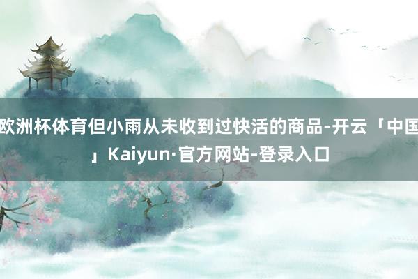欧洲杯体育但小雨从未收到过快活的商品-开云「中国」Kaiyun·官方网站-登录入口
