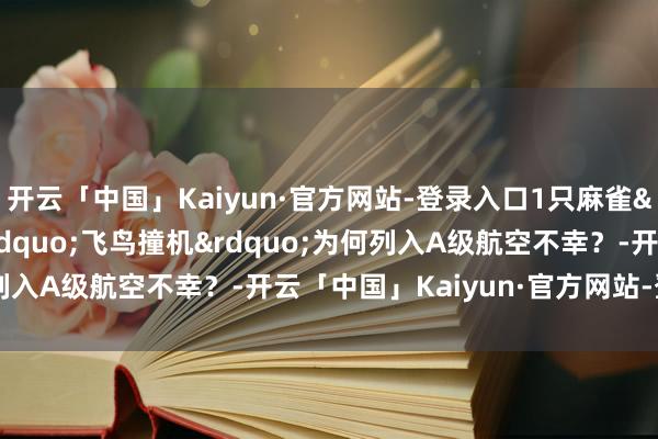 开云「中国」Kaiyun·官方网站-登录入口1只麻雀&asymp;1颗炮弹 &ldquo;飞鸟撞机&rdquo;为何列入A级航空不幸？-开云「中国」Kaiyun·官方网站-登录入口