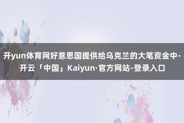 开yun体育网好意思国提供给乌克兰的大笔资金中-开云「中国」Kaiyun·官方网站-登录入口