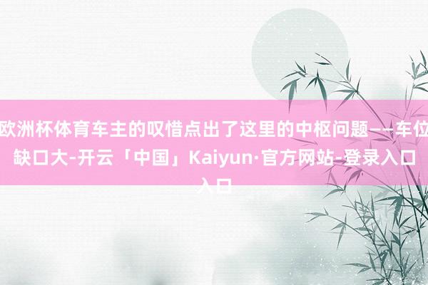 欧洲杯体育车主的叹惜点出了这里的中枢问题——车位缺口大-开云「中国」Kaiyun·官方网站-登录入口
