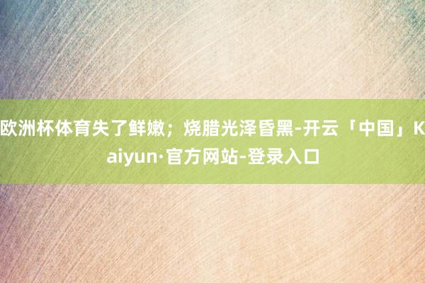 欧洲杯体育失了鲜嫩；烧腊光泽昏黑-开云「中国」Kaiyun·官方网站-登录入口