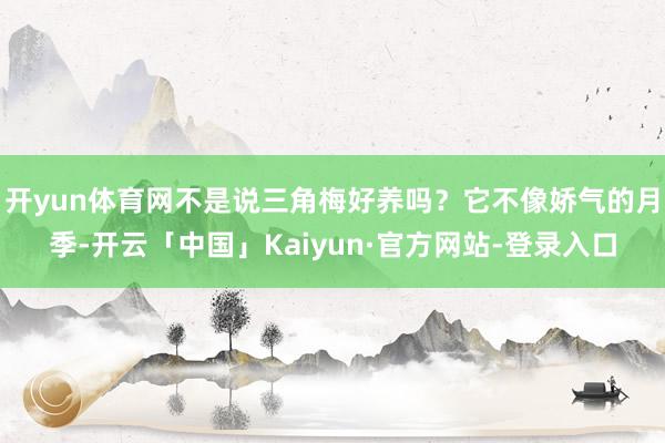 开yun体育网不是说三角梅好养吗？它不像娇气的月季-开云「中国」Kaiyun·官方网站-登录入口